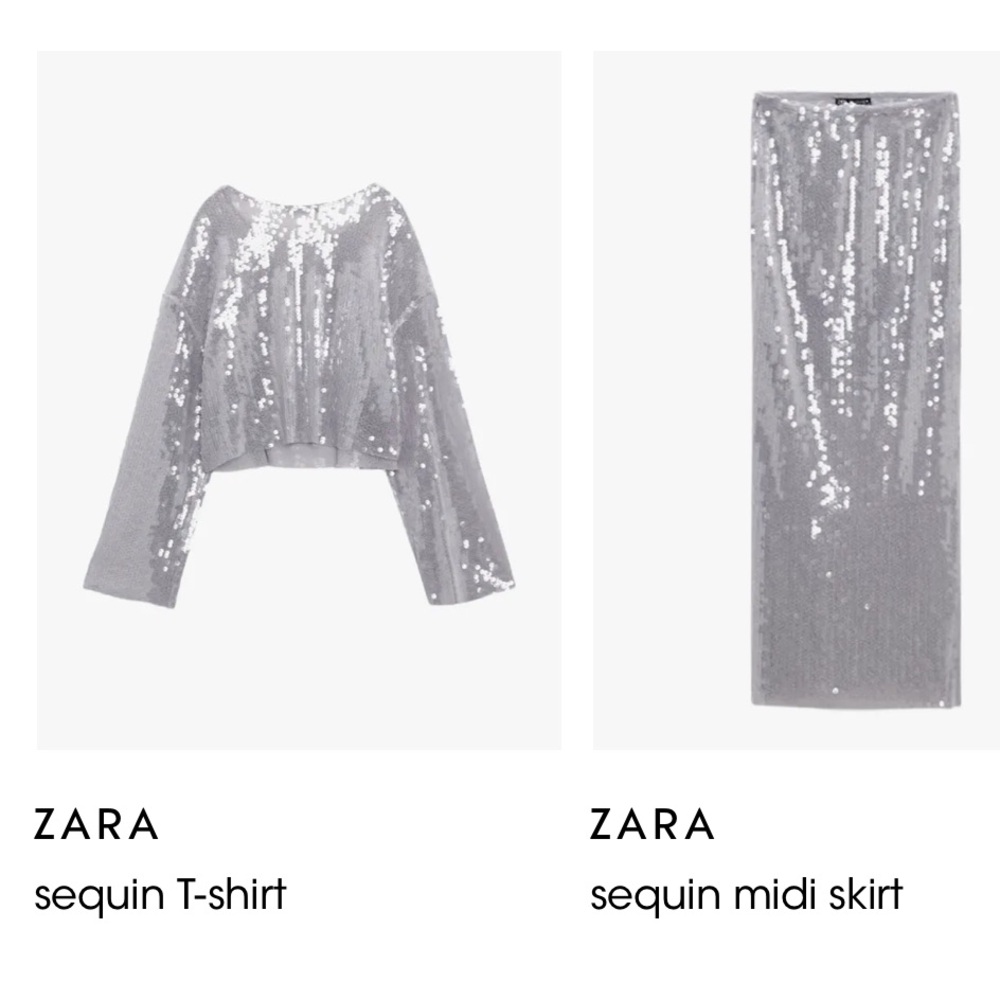 NWT Zara sequin skirt top set